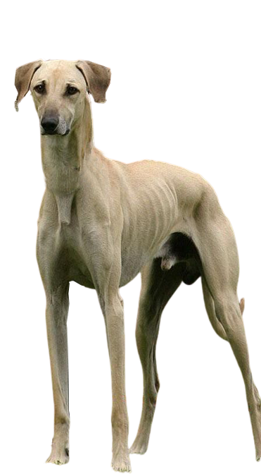 3 (2)
